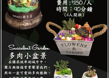 Succulent Garden & Workshop